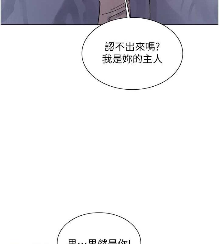 色輪眼 在线观看 第2季 第28話-為主人盡心奉獻 漫画图片41