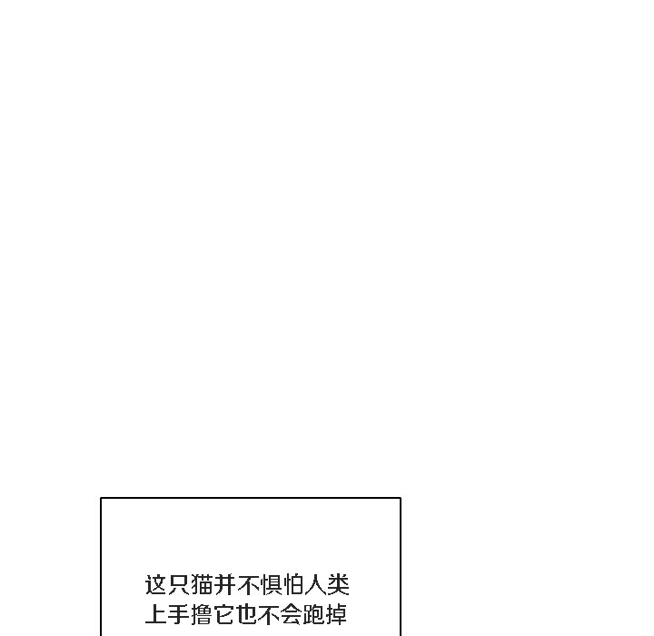 猫猫牵红线 第1話 韩漫图片81