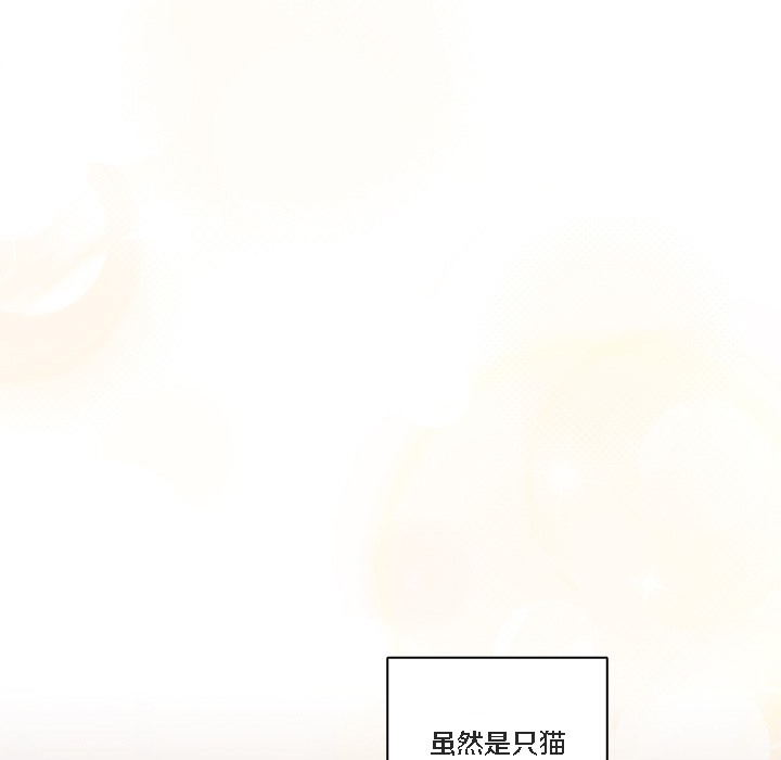 猫猫牵红线 第1話 韩漫图片121