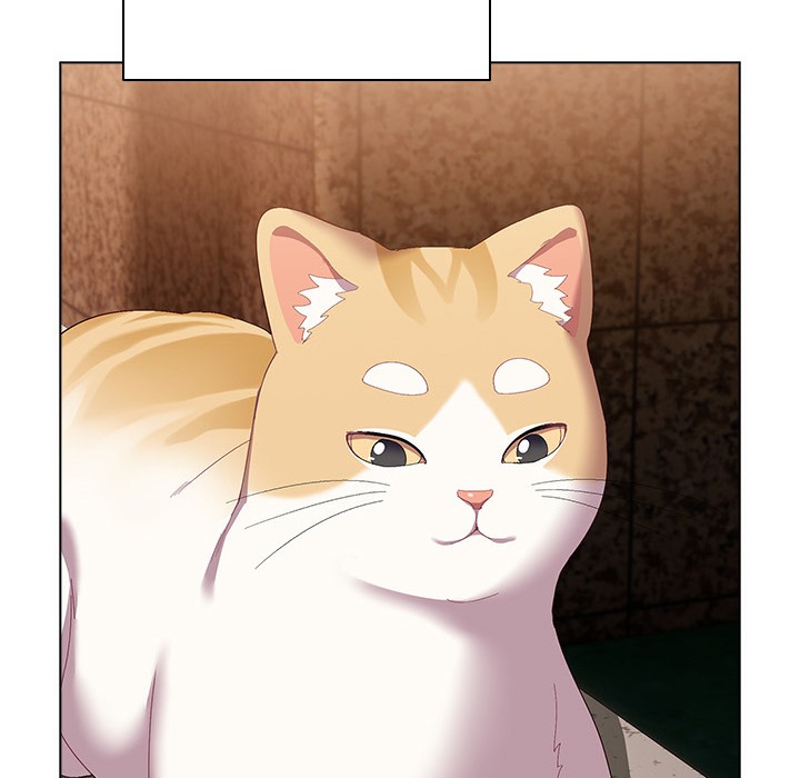 猫猫牵红线 第1話 韩漫图片82