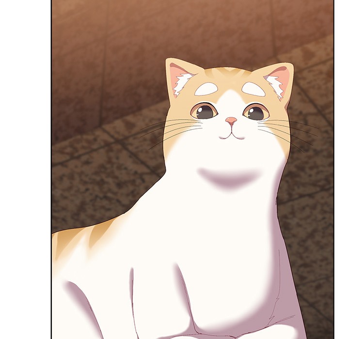 猫猫牵红线 第1話 韩漫图片105
