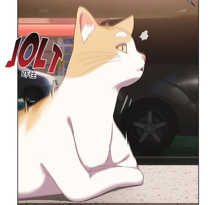 猫猫牵红线 第1話 韩漫图片140