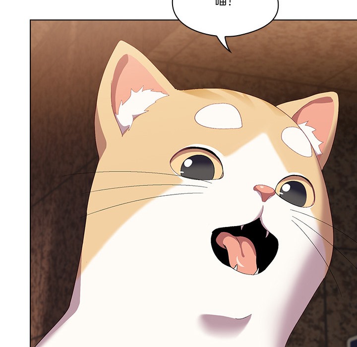 猫猫牵红线 第1話 韩漫图片176