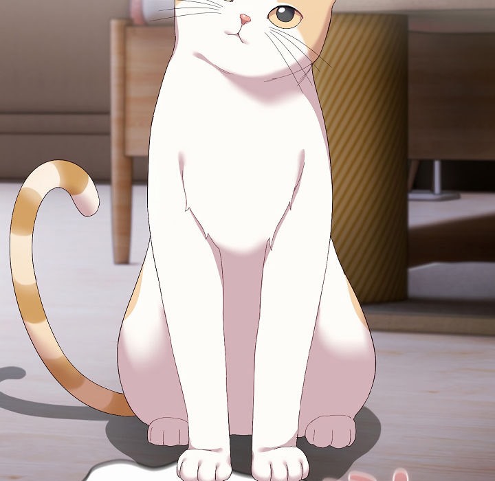 猫猫牵红线 第2話 韩漫图片207