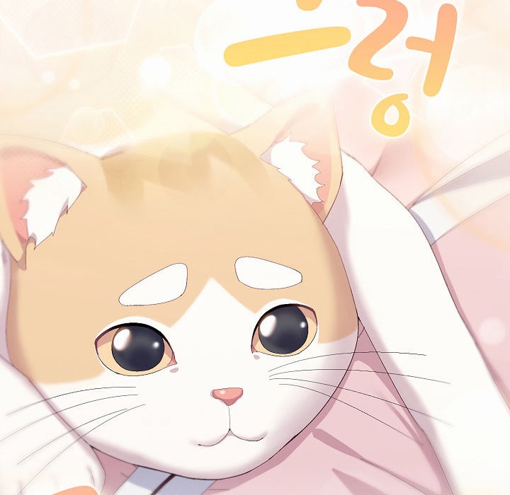 猫猫牵红线 第2話 韩漫图片10