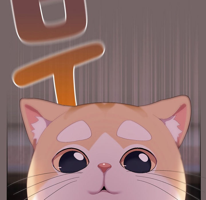 猫猫牵红线 第3話 韩漫图片155