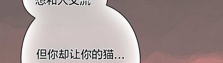 猫猫牵红线 第3話 韩漫图片148