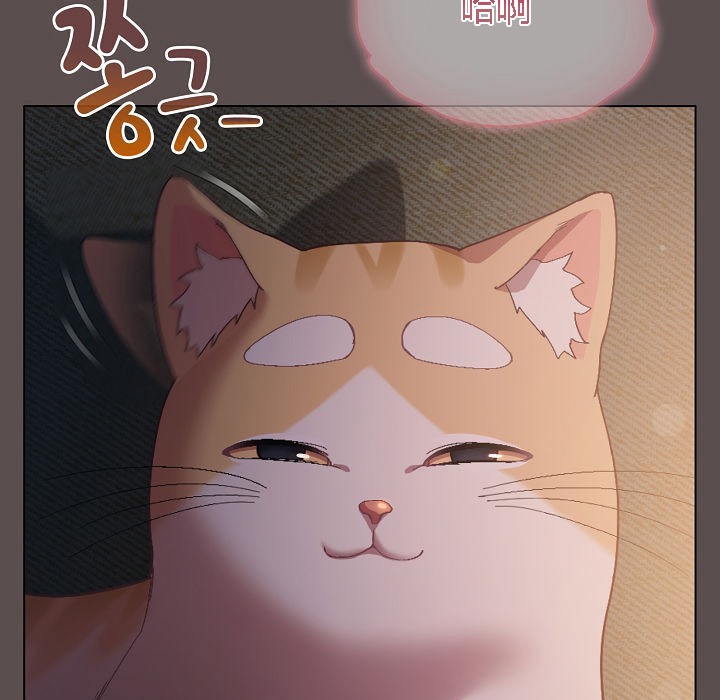 猫猫牵红线 第7話 韩漫图片11