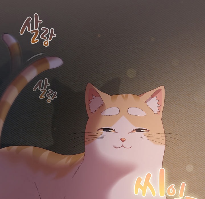 猫猫牵红线 第7話 韩漫图片7