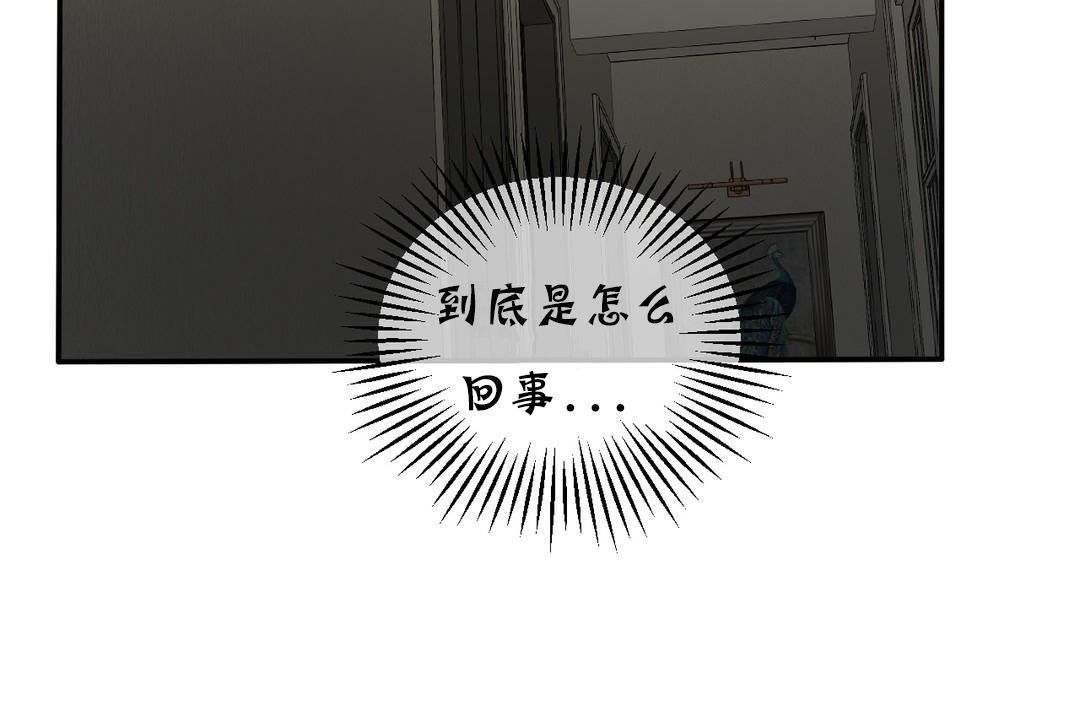 夫人的礼物/Bittersweet 第17話 韩漫图片8