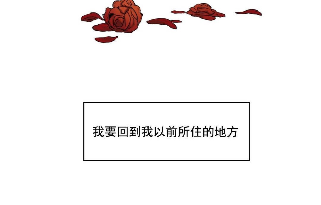 夫人的礼物/Bittersweet 第48話 韩漫图片83