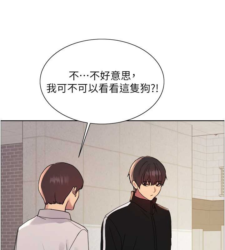 色輪眼 在线观看 第2季 第42話-在戶外隨地便溺的母狗 漫画图片62