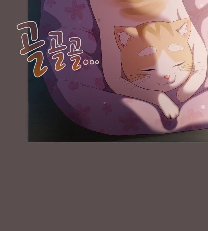 猫猫牵红线 第9話 韩漫图片131