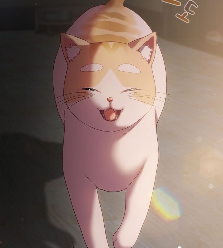 猫猫牵红线 第9話 韩漫图片165