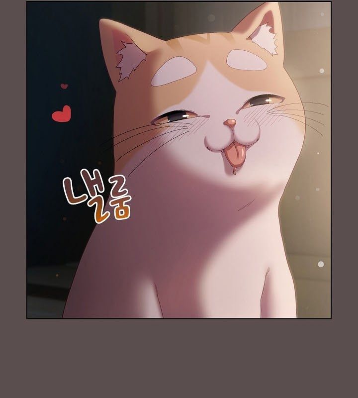 猫猫牵红线 第9話 韩漫图片176