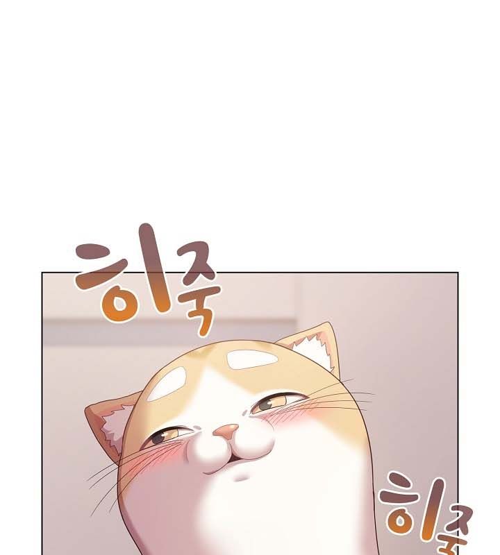 猫猫牵红线 第10話 韩漫图片141