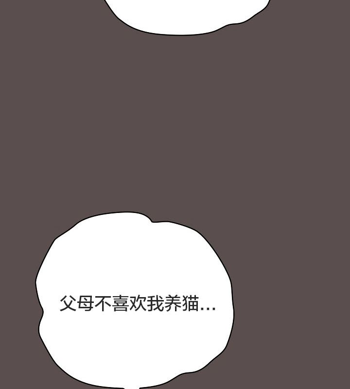 猫猫牵红线 第10話 韩漫图片59