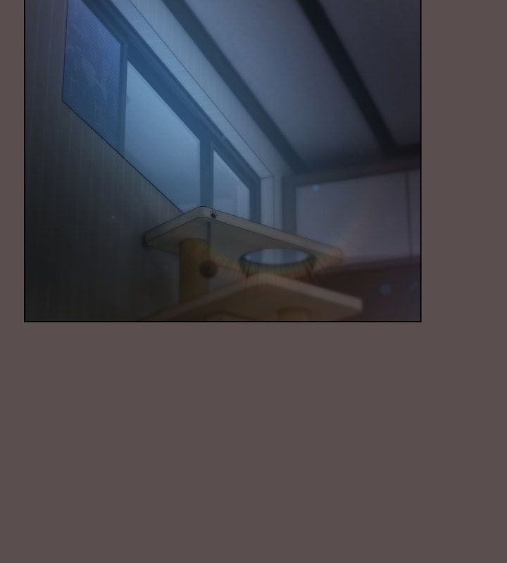 猫猫牵红线 第10話 韩漫图片33