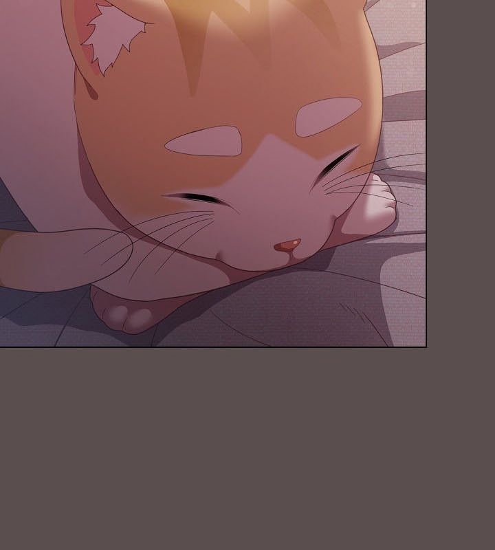 猫猫牵红线 第10話 韩漫图片6