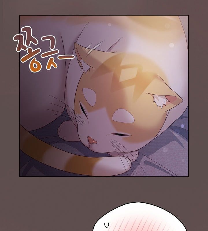猫猫牵红线 第10話 韩漫图片116
