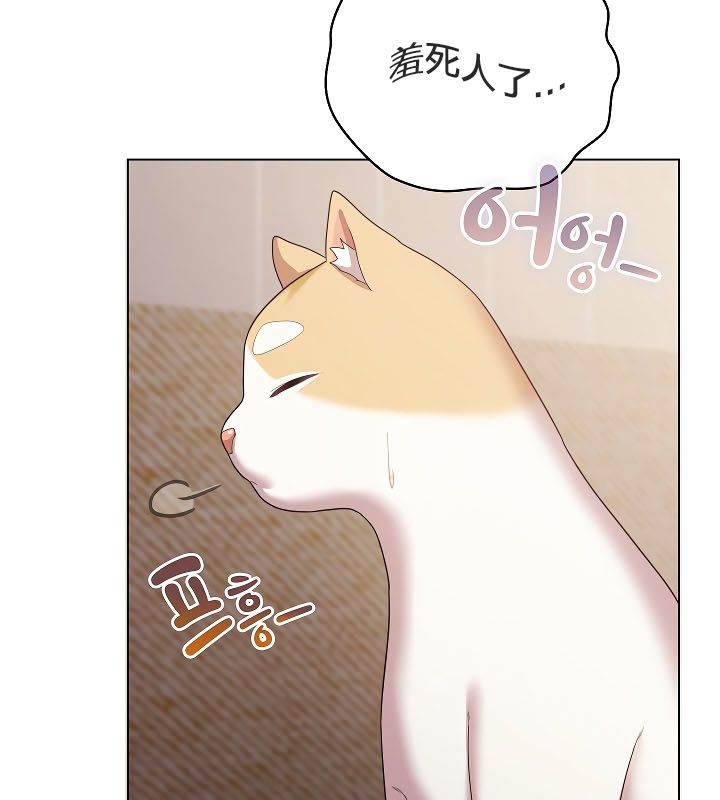 猫猫牵红线 第11話 韩漫图片114