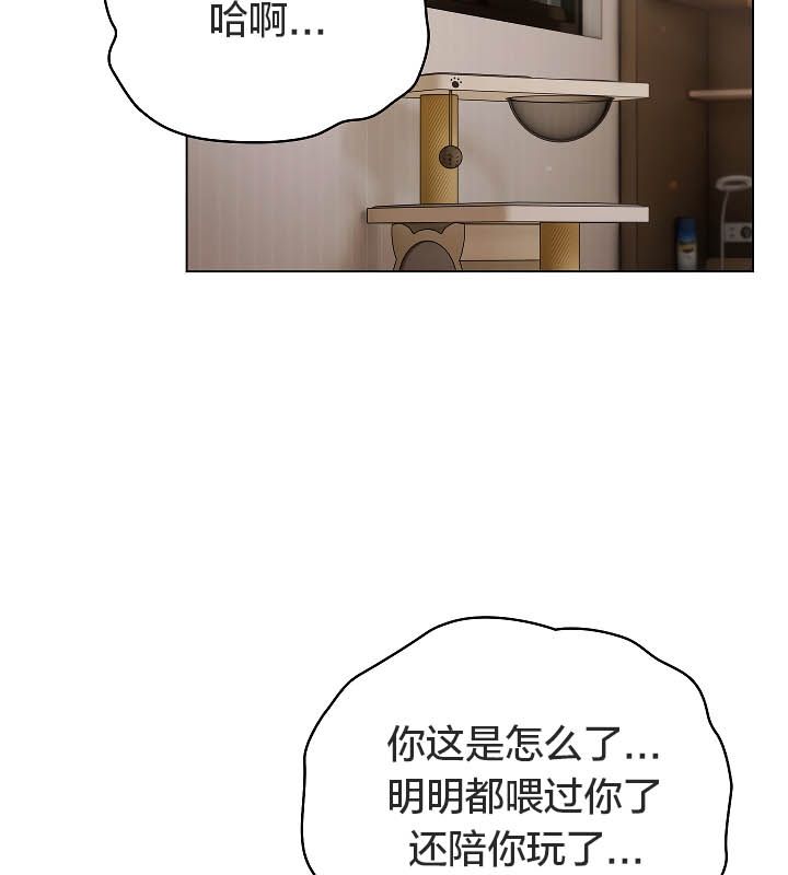 猫猫牵红线 第11話 韩漫图片24