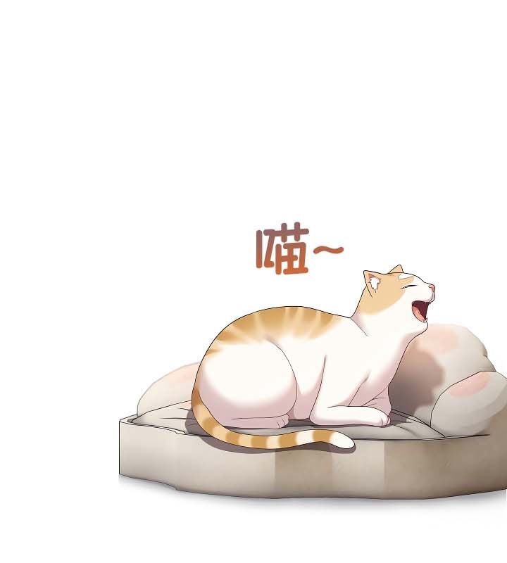 猫猫牵红线 第11話 韩漫图片141