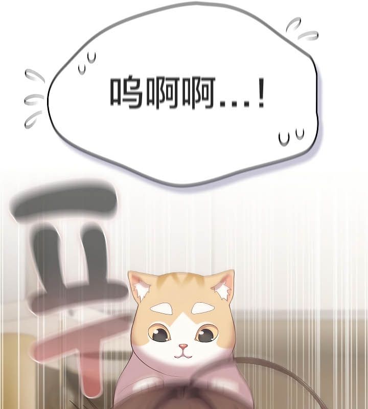 猫猫牵红线 第11話 韩漫图片20