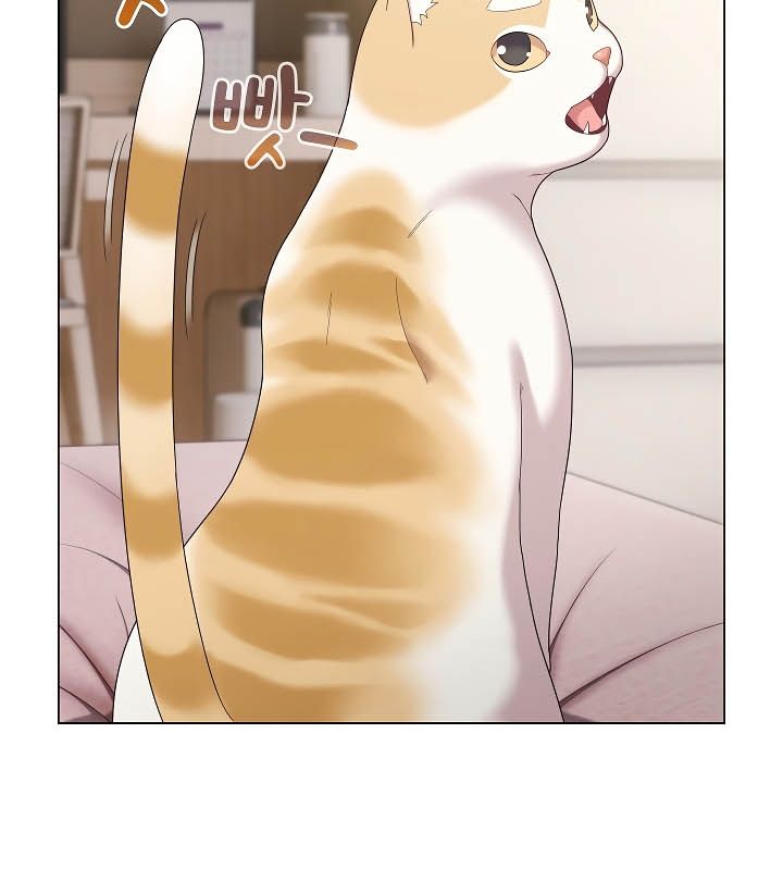 猫猫牵红线 第11話 韩漫图片29
