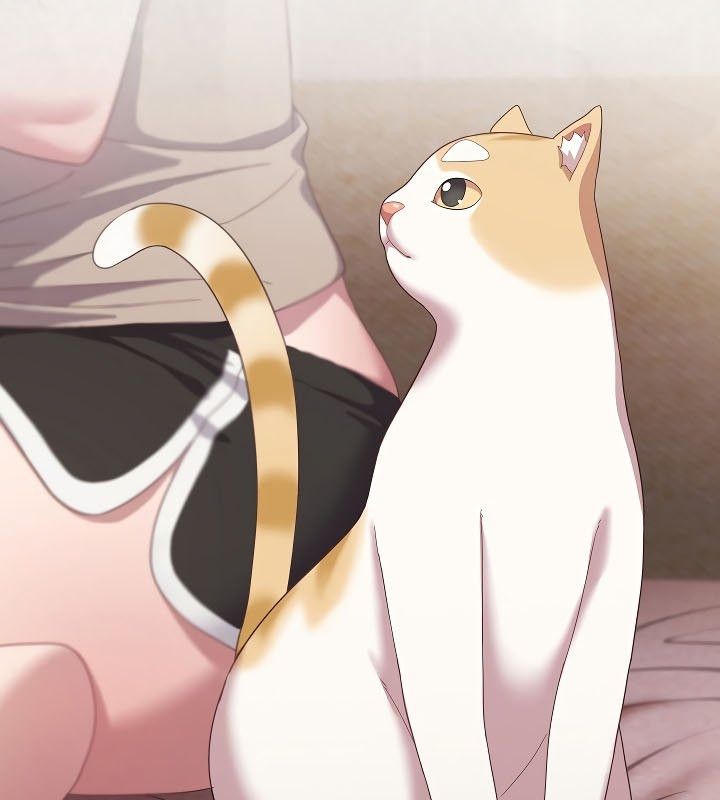 猫猫牵红线 第11話 韩漫图片87