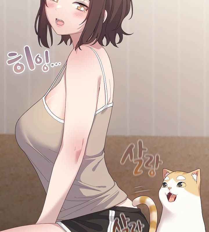 猫猫牵红线 第11話 韩漫图片26