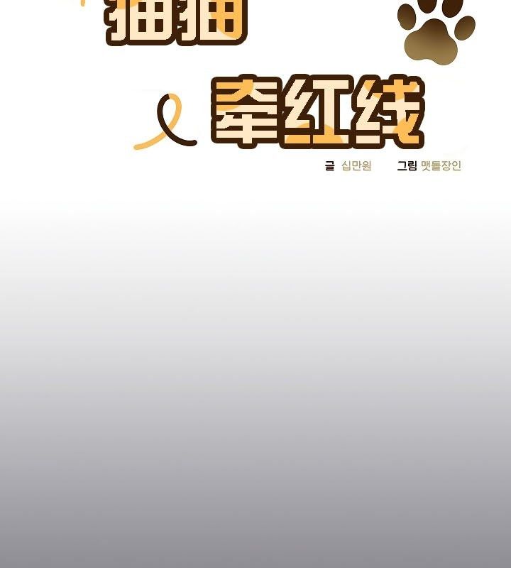 猫猫牵红线 第11話 韩漫图片15