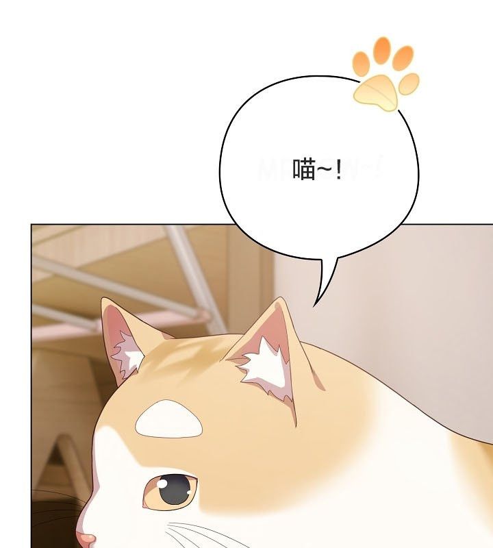 猫猫牵红线 第12話 韩漫图片152