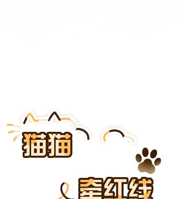 猫猫牵红线 第12話 韩漫图片44