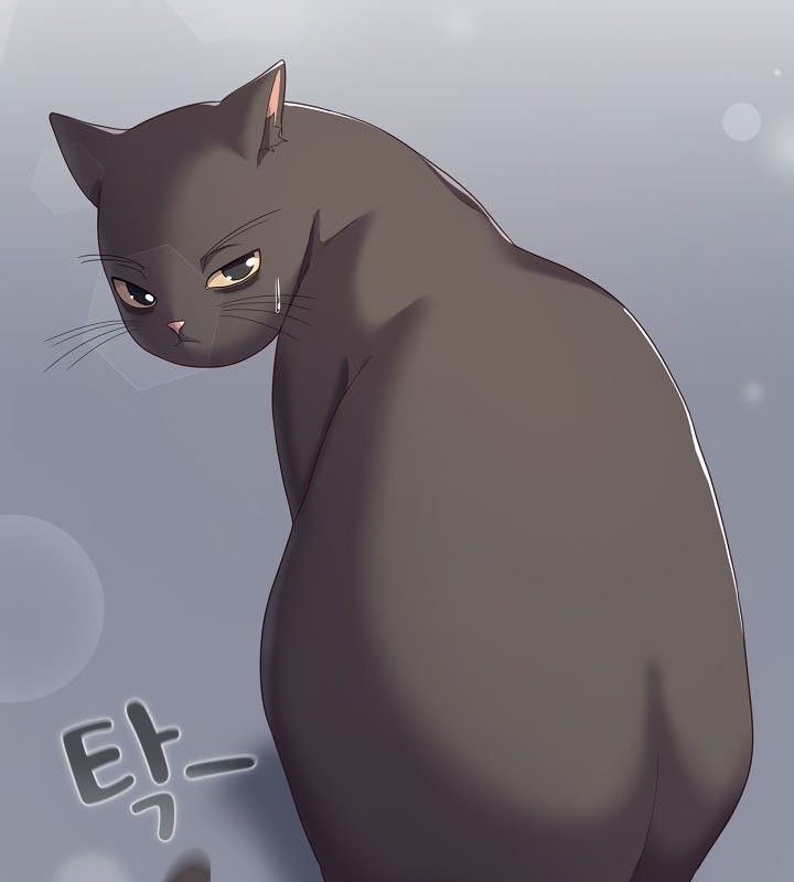 猫猫牵红线 第13話 韩漫图片15