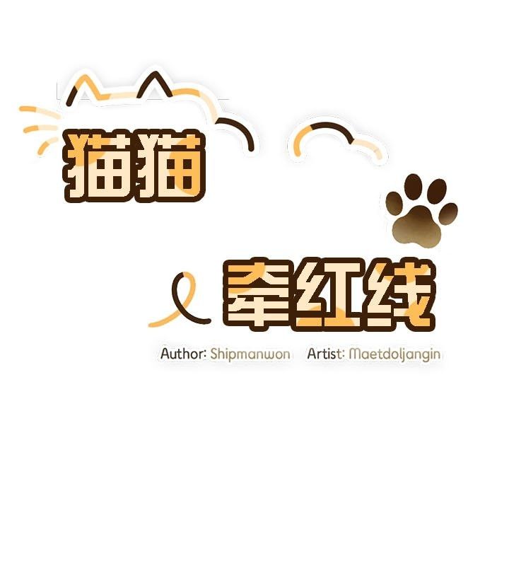 猫猫牵红线 第13話 韩漫图片4