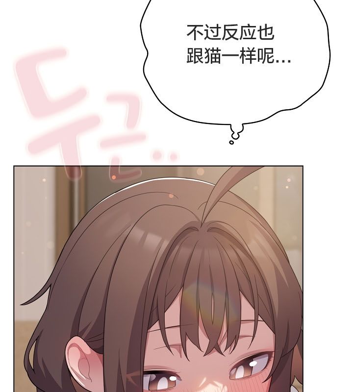 猫猫牵红线 第13話 韩漫图片36