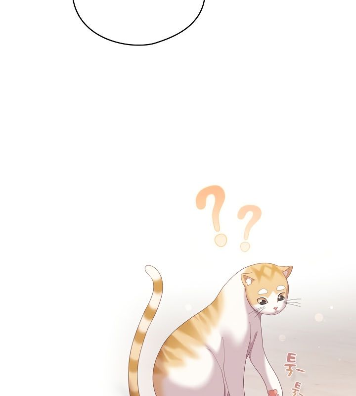 猫猫牵红线 第13話 韩漫图片100