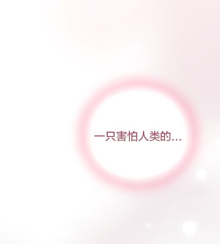 猫猫牵红线 第13話 韩漫图片13
