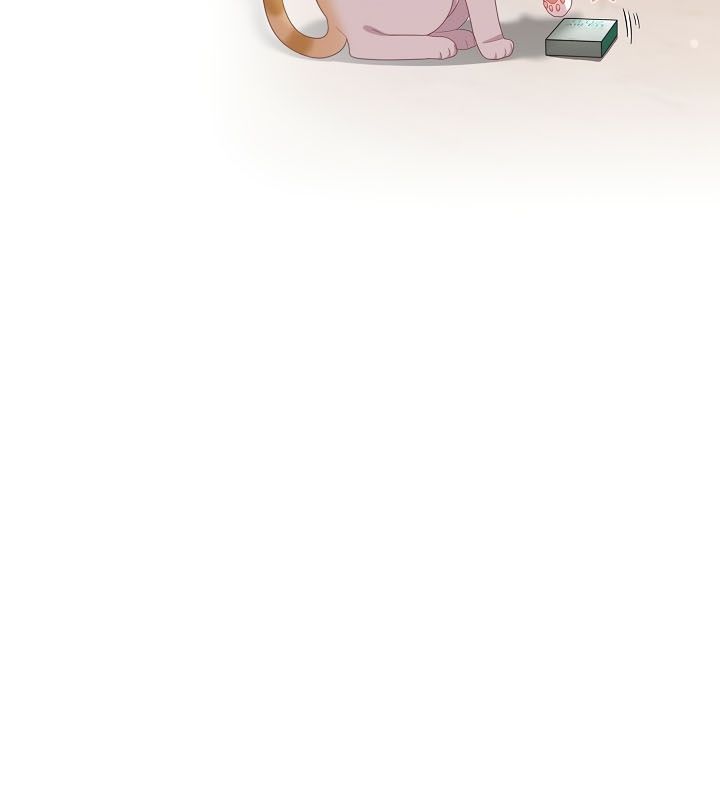猫猫牵红线 第13話 韩漫图片101