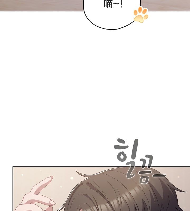 猫猫牵红线 第13話 韩漫图片70