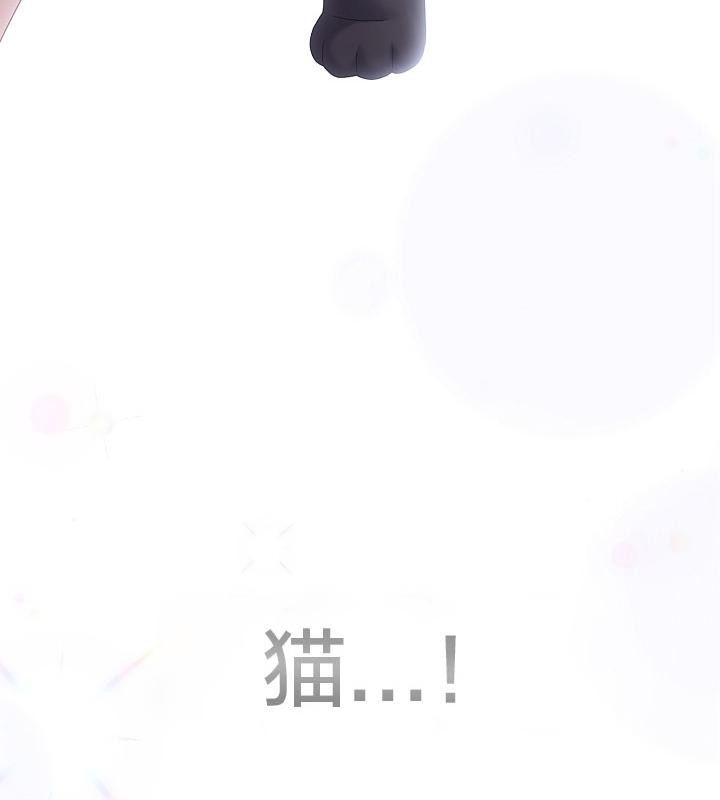 猫猫牵红线 第14話 韩漫图片70
