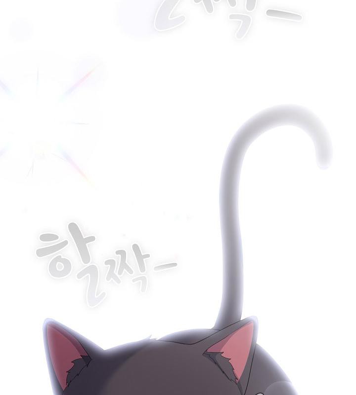 猫猫牵红线 第14話 韩漫图片67