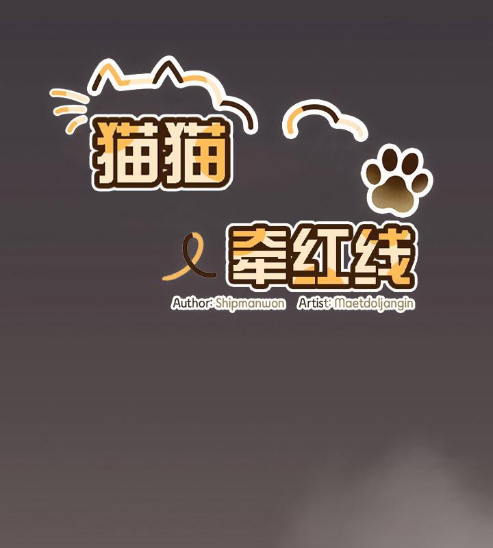 猫猫牵红线 第14話 韩漫图片113