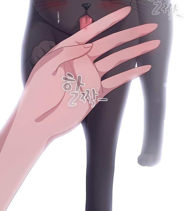 猫猫牵红线 第14話 韩漫图片69