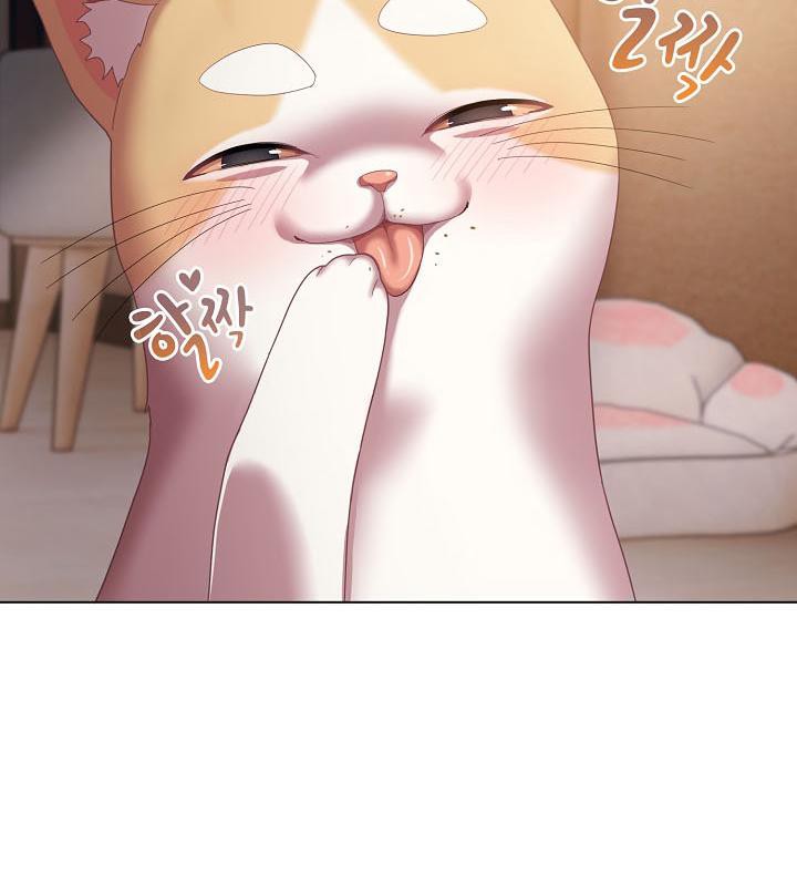 猫猫牵红线 第18話 韩漫图片67