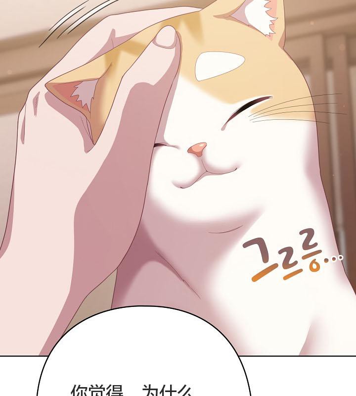 猫猫牵红线 第18話 韩漫图片129