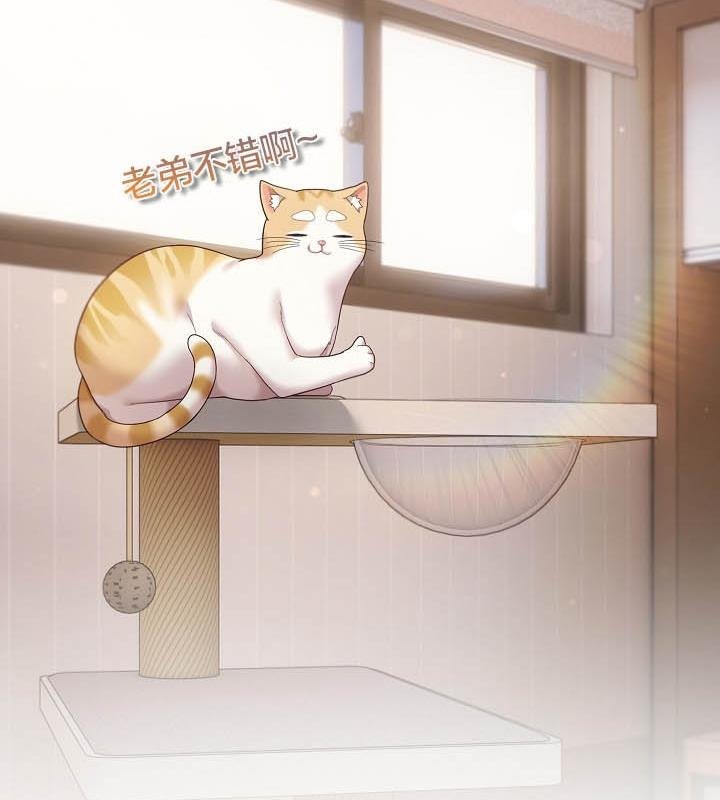 猫猫牵红线 第18話 韩漫图片89