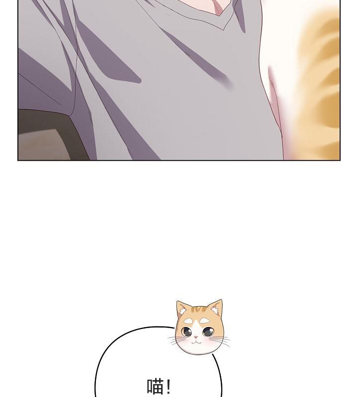 猫猫牵红线 第18話 韩漫图片132