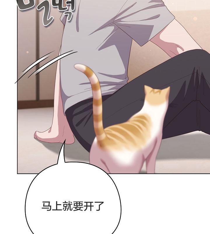 猫猫牵红线 第18話 韩漫图片137